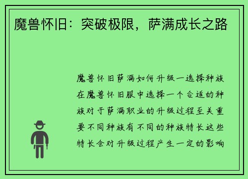 魔兽怀旧：突破极限，萨满成长之路