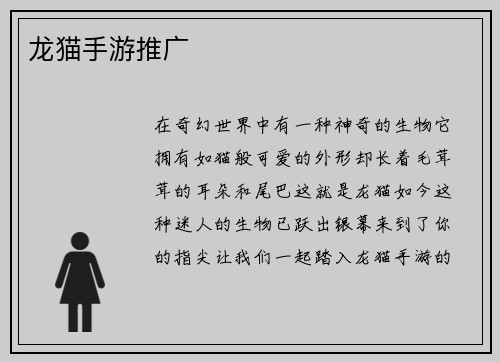 龙猫手游推广