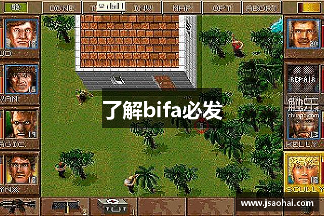 了解bifa必发